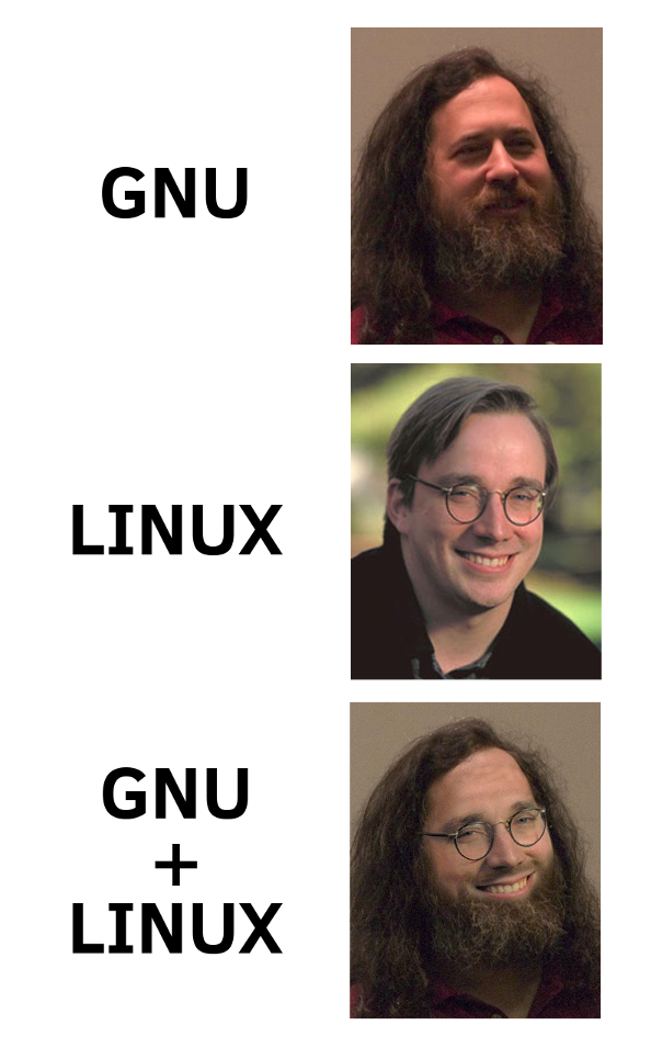 GNU + LINUX GNU + LINUX